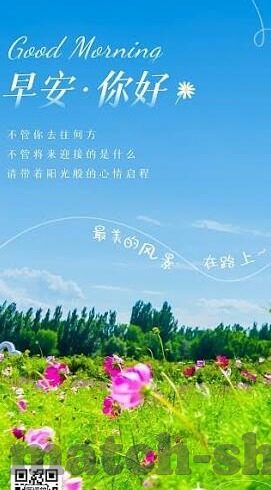 巴西世界杯 垃圾-巴西世界杯与垃圾管理，一场绿色盛宴的启示