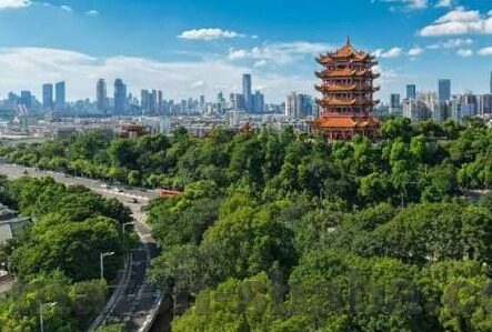 乐鱼体育国际登录-乐鱼体育国际平台的访问与体验探究